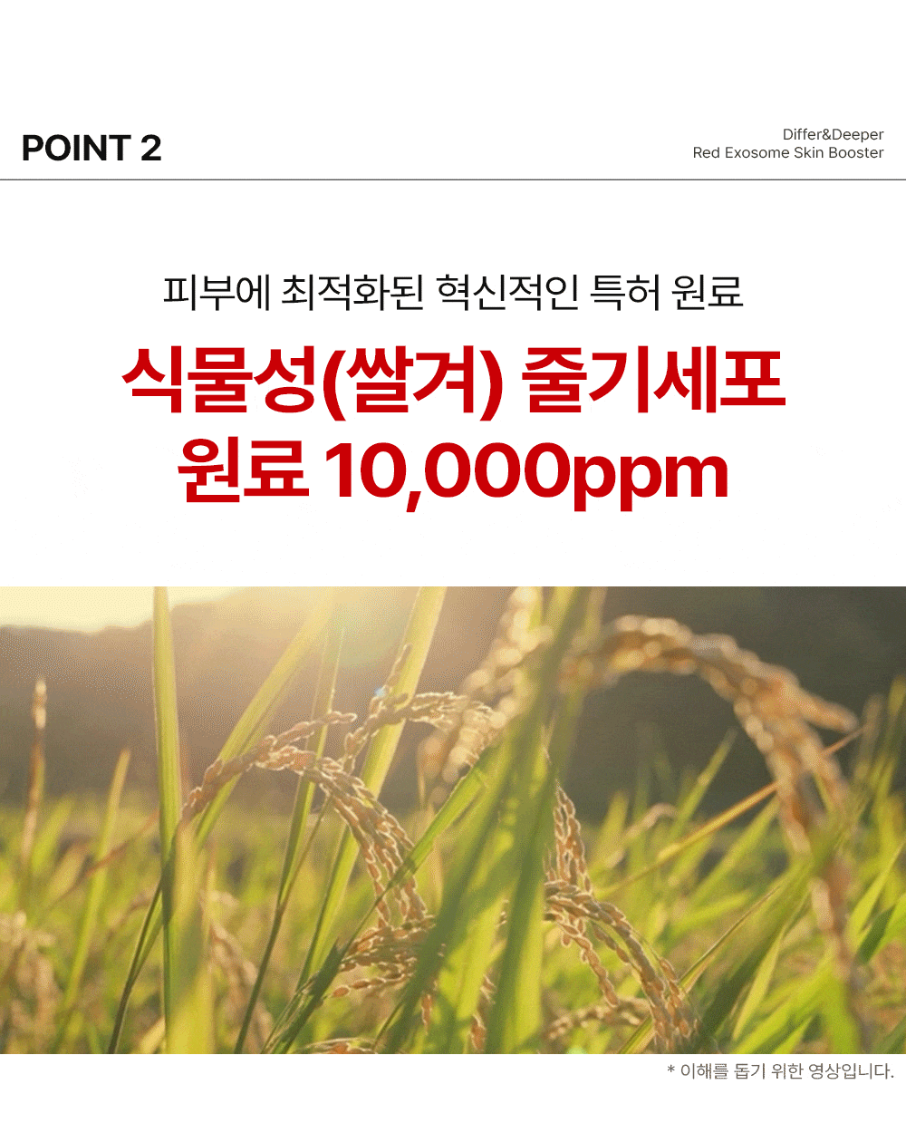 [디퍼앤디퍼]프리미엄 레드 엑소좀 스킨 부스터 2ml x 14개