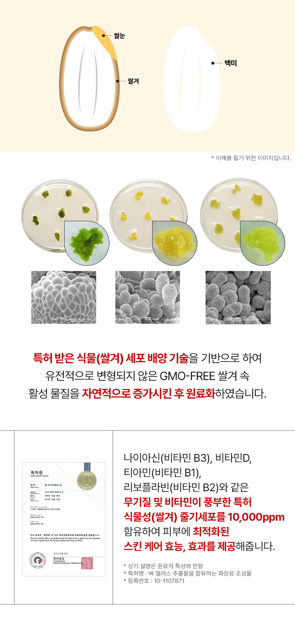 [디퍼앤디퍼]프리미엄 레드 엑소좀 스킨 부스터 2ml x 14개